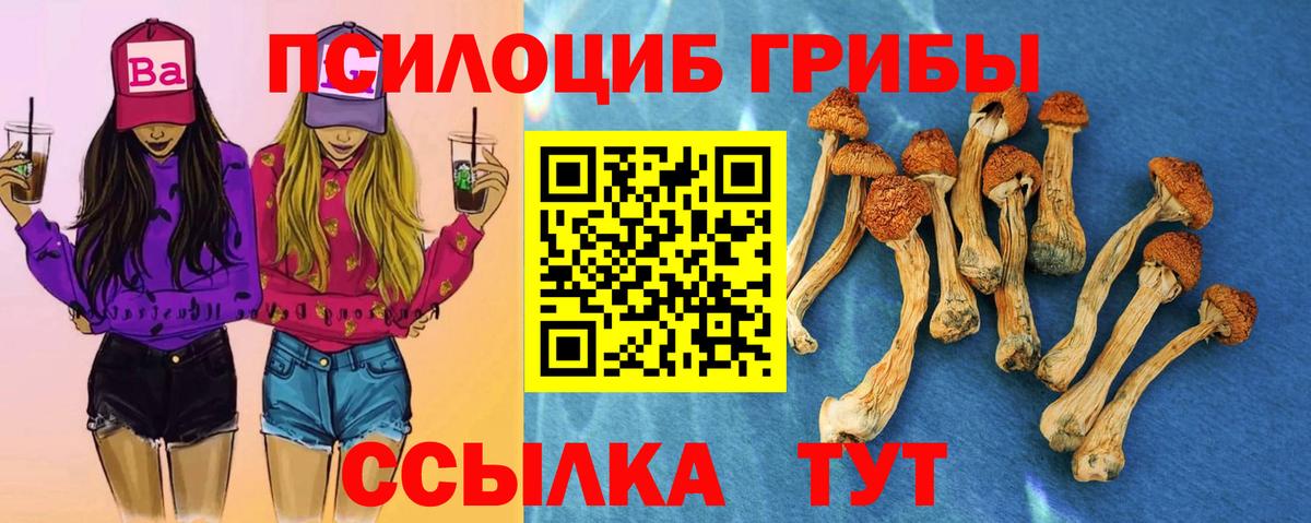 Сертолово  Галлюциногенные грибы ЛСД  Псилоцибиновые грибы мицелий  Вход с VPN 